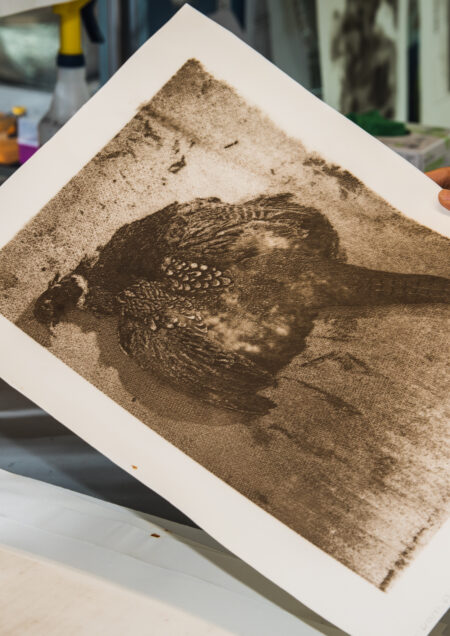 A print made with human biology created by Lucy Kim is held. It appears to depict a bird. Photo by Jake Belcher for Boston University Photography.