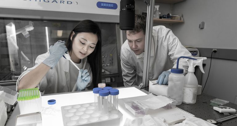 Two students working with a pipette in a laboratory setting