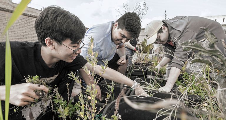 Group of students planting in a community garden