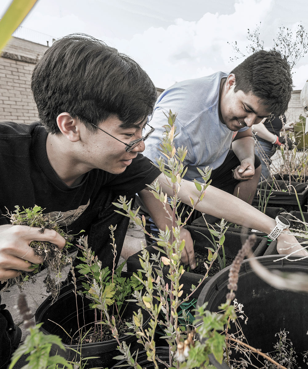 Group of students planting in a community garden